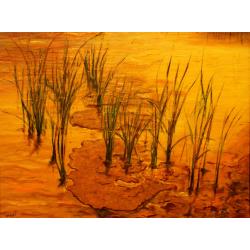 luce-nell-acqua luce-nell-acqua