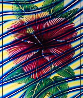 ibiscus-attraversato