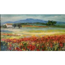 campo-di-papaveri