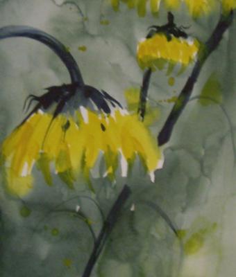 girasoli