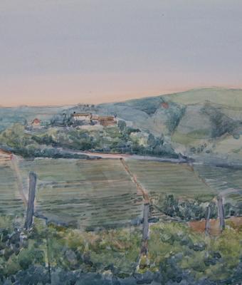 ritorno-alla-terra-dell-uva