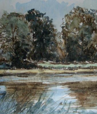 alberi-e-risaie