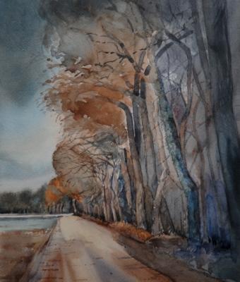 via-delle-querce