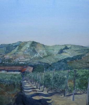 la-collina-di-gaminella