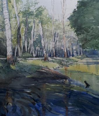 marais-poitevin