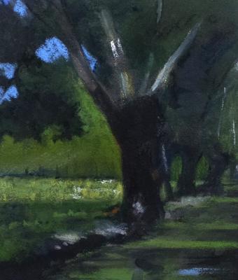 alberi-di-ripa