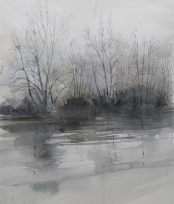 nebbia-sullo-stagno
