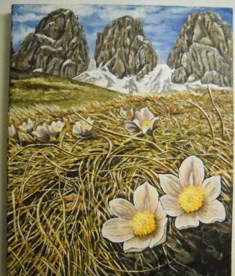 dolomiti