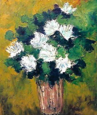 fiori-bianchi