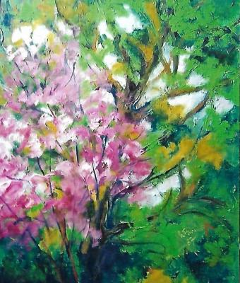 fiori-rosa