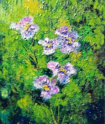 violette
