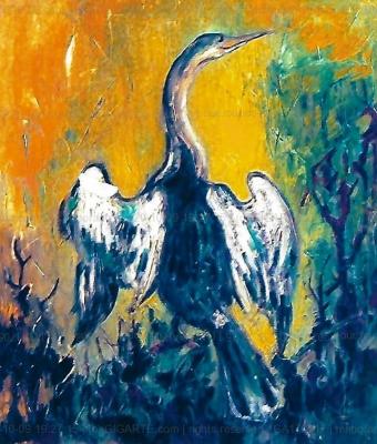 il-cormorano