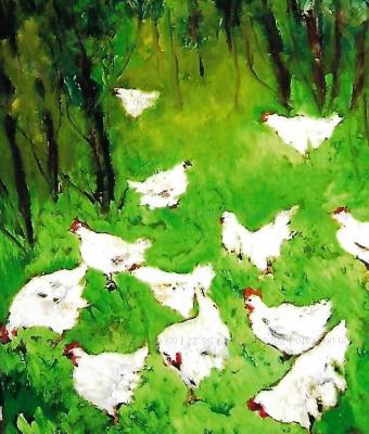 galline-in-un-prato