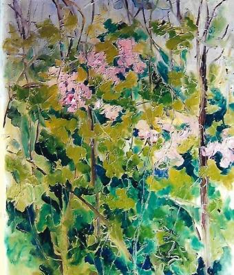 fiori-in-un-prato