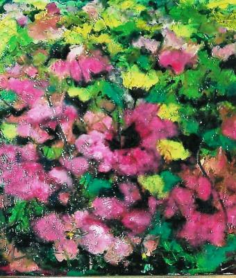 fiori-tanti-fiori