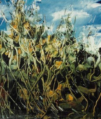 campagna-in-tarda-estate