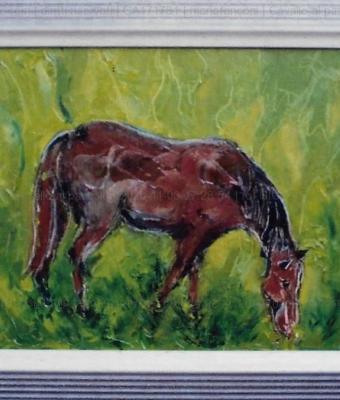 cavallo-al-pascolo