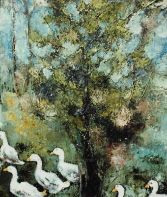 curiose-oche-bianche
