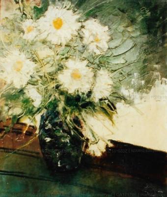 crisantemi-bianchi