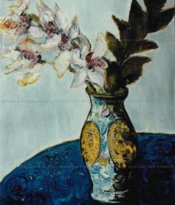 orchidea-in-vaso