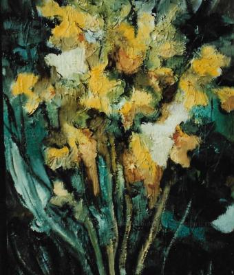 narcisi