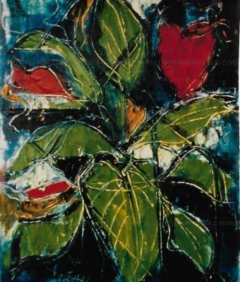 pianta-d-anthurium
