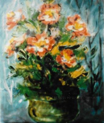 clivia-in-vaso