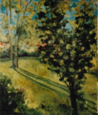 viale-alberato