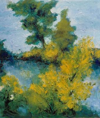alberi-vicino-ad-un-laghetto