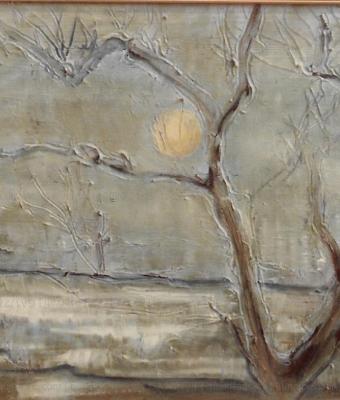 luna-piena-in-una-notte-invern