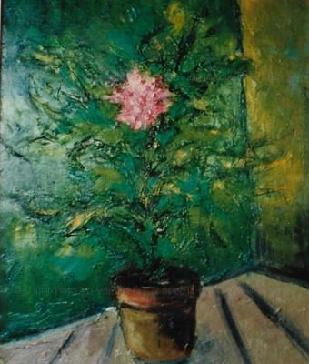 fiore-rosa-in-un-vaso