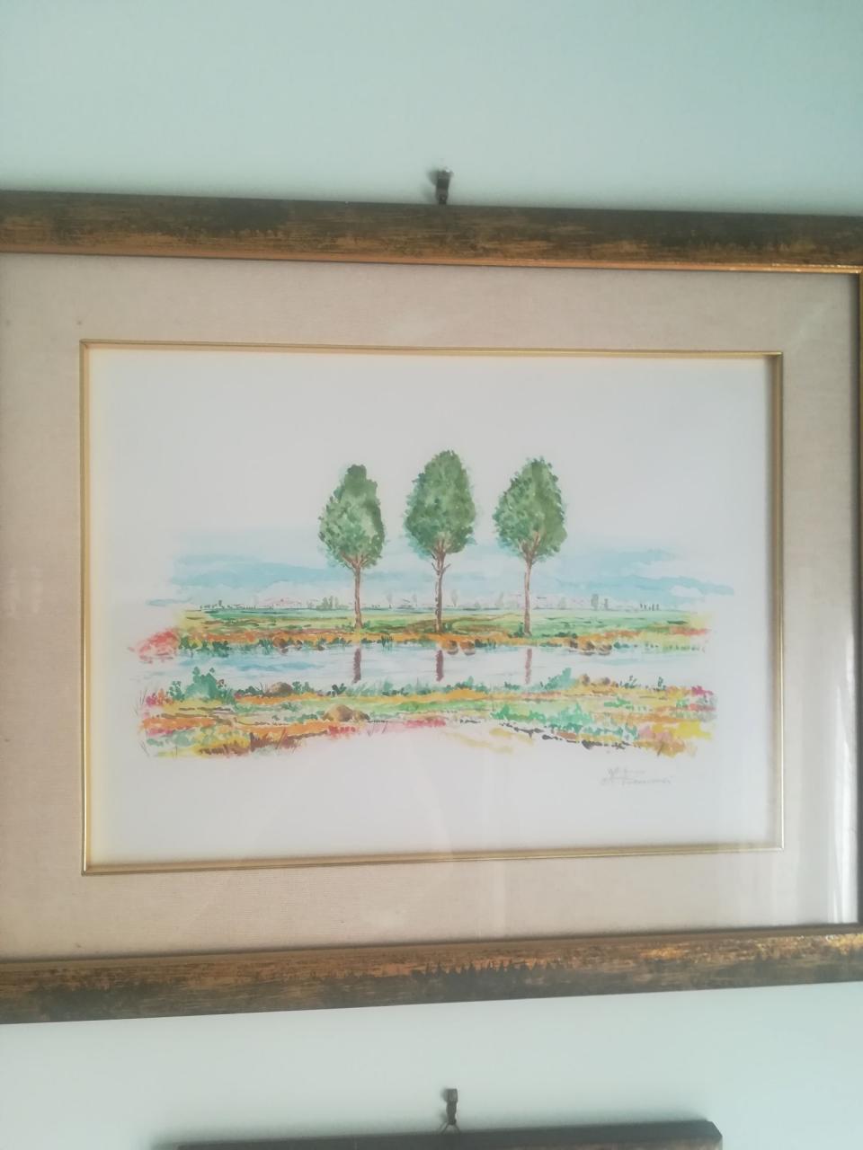 alberi-sul-rio