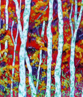 bosco-di-betulle-in-rosso-e-gi