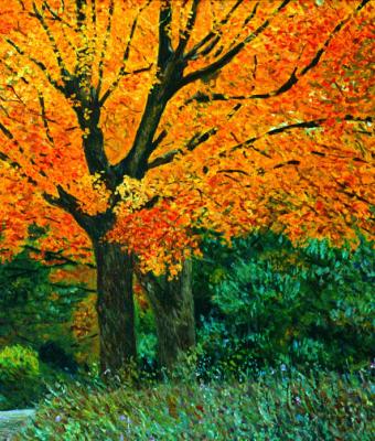 albero-giallo