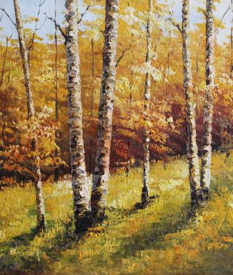olio-msc-028