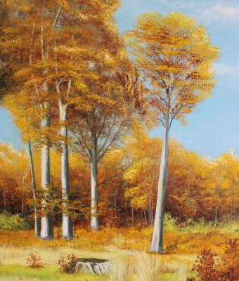 oil-msc-030