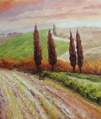 oil-msc-082