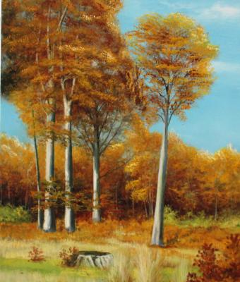 oil-msc-098