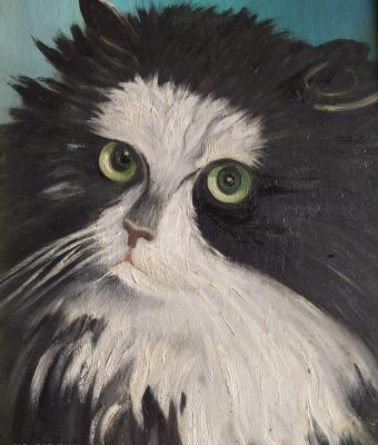 il-gatto-sergej
