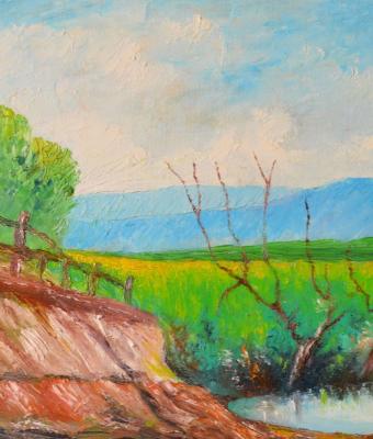 arbusti-attorno-allo-stagno