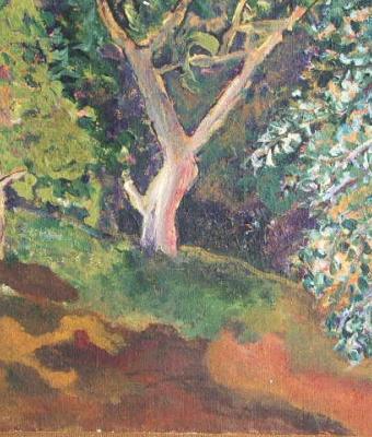 alberi-a-villa-borghese