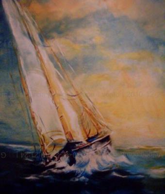 veloce-come-il-vento