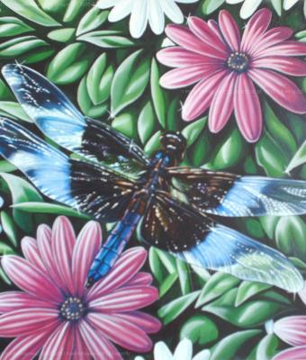 dragonfly