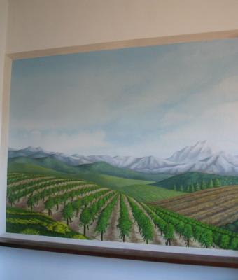 panorama