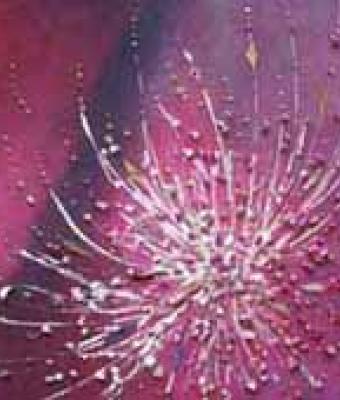 serie-fiori