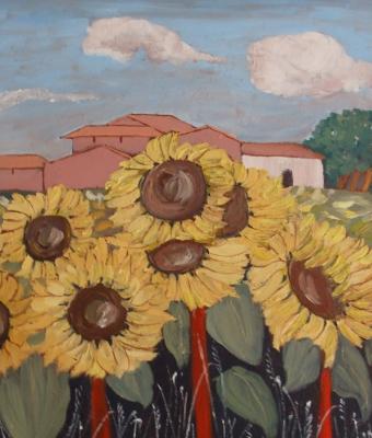 girasoli-e-casine
