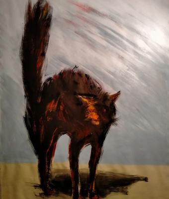 gatto