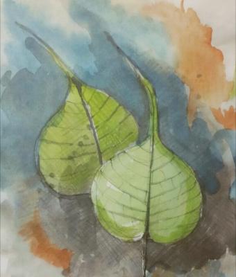 foglie-di-bhodj