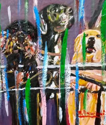 i-nostri-amori-a-quattro-zampe