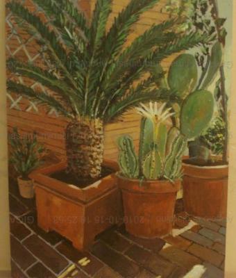 angolo-di-giardino